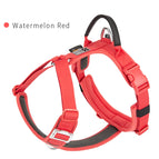 Watermelon Red / L