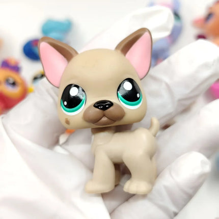 NEW LPS Pet Toys Cute Animal Can Shake Head Kitten Series 4 Original Collection Toys for Girls Christmas Birthday Gift