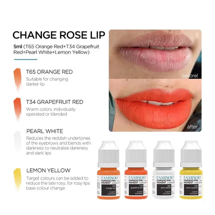FAMISOO Permanent Makeup Pigment Long-Lasting Makeup Lip Professional Tattoo Inks Lip Pigments 5ml PMU Microblading Eyebrow Ink