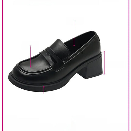 Bla Chunky Heel Mary Janes Women's oes Spring 2026 New High Heel Loers Retro Briti Sle Single oes Faionable Cas...