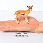 Antelope-1