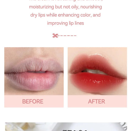 HAIPINK 3-Piece Set Tinted Moisturizing Lip Balm - Hydrating, Fade Lip Lines, Prevent Chapping