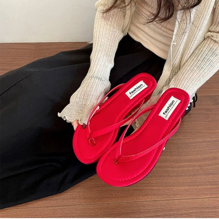 Summer Women Wedges Heel Silver Slippers Outdoor Street Style Dress Shoes Ladies Outdoor Beach Vacation Clip Toe Slides