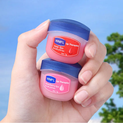 New 4/6/8pcs Moisturizing Lip Balm Sets Lipstick Makeup Natural Plant Base Moisturizer Lip Balm Anti-Cracking Lips Skin Care