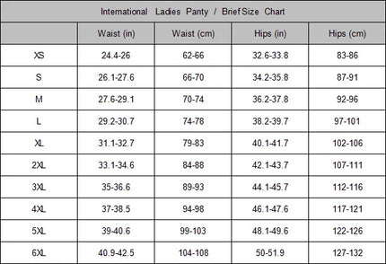 4-Layer Leopard Print Menstrual Panties Incontinence Moderate Absorption Comfortable Solid Color Panties Washable Soft