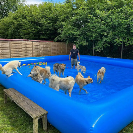 Hot Sale Large PVC Pet Airblow Water Pool Indoor Outdoor Dog Inflatable Swimming Pool for Summer