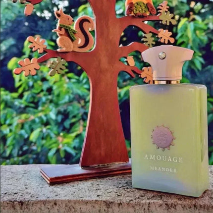 Men’s Eau De Parfum Long Lasting 100ml Aromatic Woody Fragrance with Fresh Warm Clean Notes and Refined Masculine Elegance