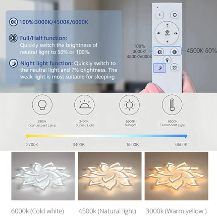 IRALAN Nordic Minimalist Ceiling Light With Remote Control Living Room Modern Creative Petal Design Ceiling Lamp Fixture Bedroom