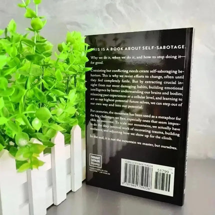 New The Mountain Is You: Transforming Self-Sabotage Into Self-mastery English Books Birthday Gifts