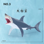 SHARK
