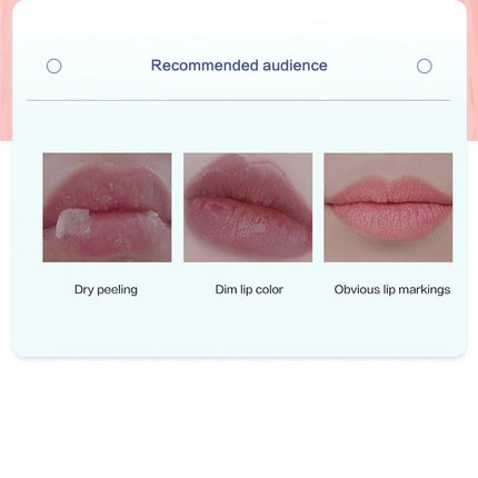 SET Moisturizing Lip Balm Set Whitening Moisturizing Base Natural Plant Base Moisturizing Crack Lip Care Jelly Moisturizer