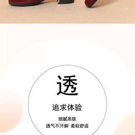 Women's Leather Shoes New Style Dancing Shoes Leongyue Mother Shoes Soft Sole Thick Heel Women's Shoes One-Button Single Shoes