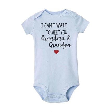 Hello Auntie I Can't Wait To Meet You Announcement Baby Toddler Bodysuits Pregnancy Clothes Boy Girl Romper Infant Shower Gifts