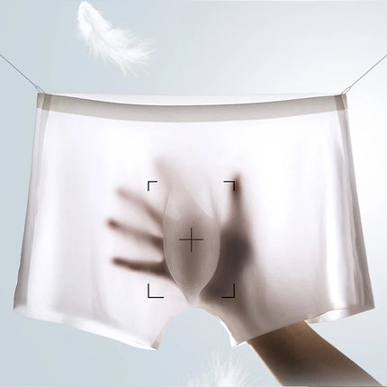 5Pcs/Lot Men's Ultra-Thin Ice Silk Underwear Summer Cool Boxers Briefs Comfortable Breathable Seamless Underpants Sexy Lingerie
