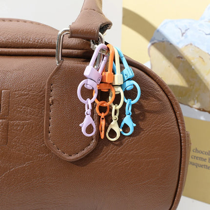Lobster Clasp Spring Buckle Keychain with Chains Colorful Keyrings for DIY Jewelry Making Carabiner Key Ring Hooks Bags Buckle