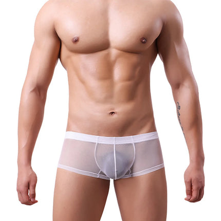 Men Transparent Boxers See Through Male Underpants Sexy Mid-Waist Panties Lingerie Intimates Summer Breathable Underwear