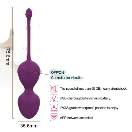 APP Control Smart Pelvic Exercise Trainer Pelvic Floor Muscle Massage Ball Pelvic Floor Pelvic & Tightening Sex Toys for Women
