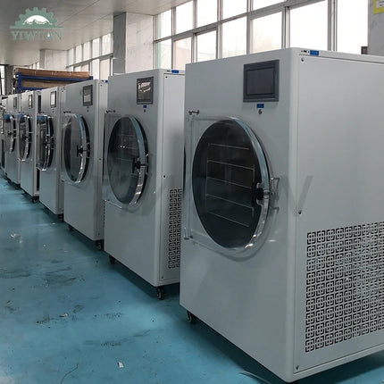 Automatic Fully Stainless Steel Small Lyophilizer Freeze Dryer Home For Candy
