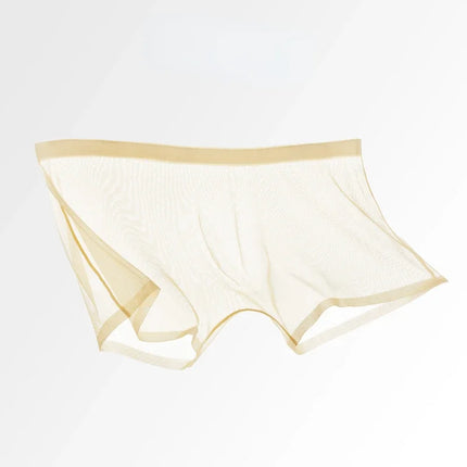 Men's Underwear Transparent Boxers Bulge Ice Silk See Through Underpants Sexy Briefs Low Waist Panties Lingerie Intimates