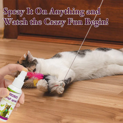 Catnip Spray for Cats, Cat Scratching Spray to Boost Play, Calm Stress & Renew Toys, Transparent Cat & Kitten Behavior Spray 60 ml