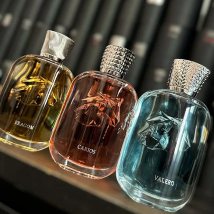 125ML Soft Perfume Long-Lasting Fougère Musk Vetiver Elegant Fragrance Men's Cologne Fascinating Genuine Fragrance for Men