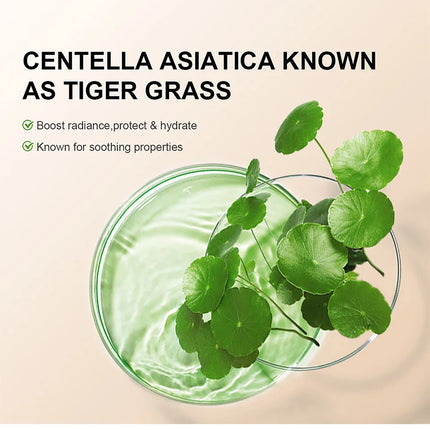 CC Cream Centella Correcting Makeup Before Moisturizing Waterproof Anti-sweat Concealer Lasting Women Makeup Foundation
