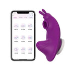 APP-Purple-Box / China Mainland