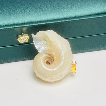 5pcs 25-40mm Conch Shell-Shaped Pendants Natural Shell Semi-Finished Charms for Jewelry Making DIY Necklace Bracelet Accessories