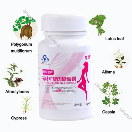Enhanced L-carnitine Weight Loss Diet Pill Slimming Capsule Lose Weight lotus leaf Fat Burning Cellulite Slim Belly thin legs