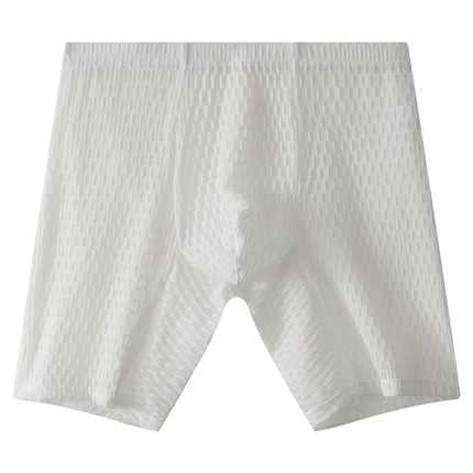 Mens Underpant Solid Transparent Mesh Boxers Shorts Man Soft Lace Underwear Breathable U Convex Pouch Panites Cueca Calzoncillo