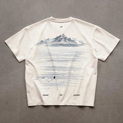 Y2K Harajuku Casual Minimalist Penguin Snow Mountain Reflection Print T-Shirt Men's and Women's White Trendy Loose Fitting T-Shirt