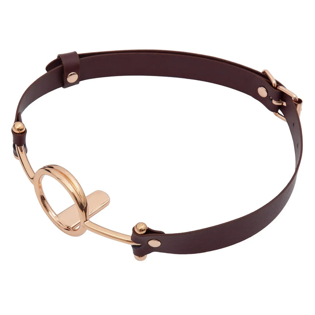 Cuir Bouche Ouverte Gag Harnais Boule Morsure Métal Fétiche Bondage Retenue Or Rose Argent Sex Toy Esclave Couple Jeu