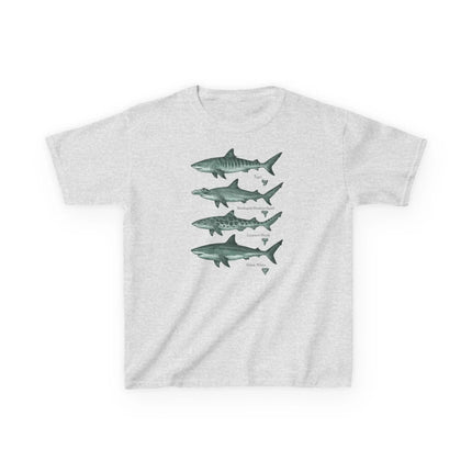 Shark Species T-Shirt, Vintage Style Marine Biology T-Shirt Featuring Natural Tiger Shark, Hammerhead Shark, and Leopard Shark
