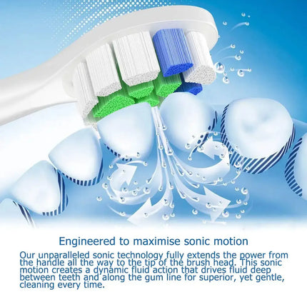 Sonicare Brush Heads 1100 2100 4100 / Têtes Sonicare