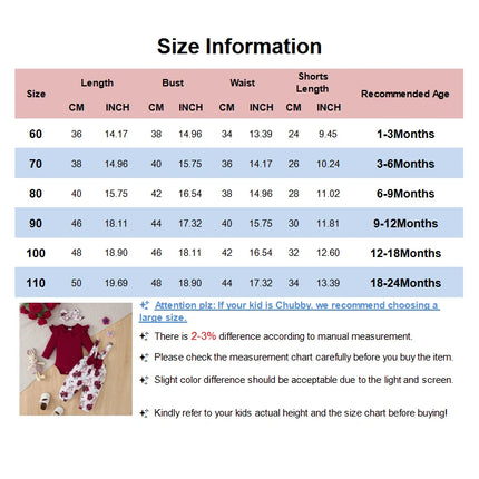 3PCS Clothes Outfits for 1-24Months Newborn&Toddler Baby Girl Long Sleeves Romper+Flower Strap Pants Cute Christmas Costume