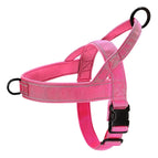 Pink / M