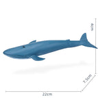 Ocean Animal-02