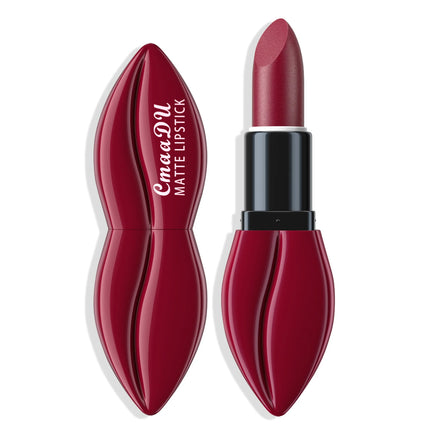 10 Colors Lip Shape Matte Lipstick Velvet Lip Gloss Long Lasting Waterproof Lip Makeup Set For Women Girls Fashion Cosmetics