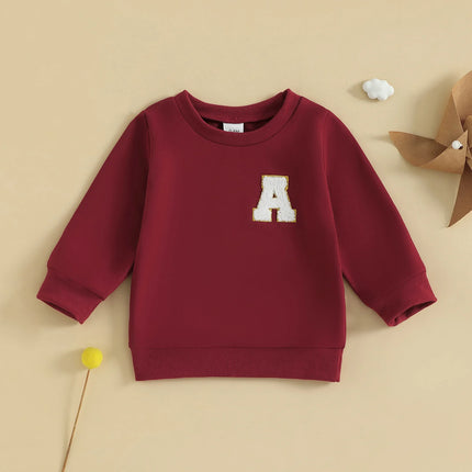 Spring Autumn Toddler Kids Baby Girls Boys Sweatshirts Letter Embroidery Round Neck Long Sleeve Casual Pullover Tops
