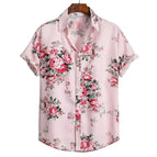 CS2024AQ2033 / 5XL