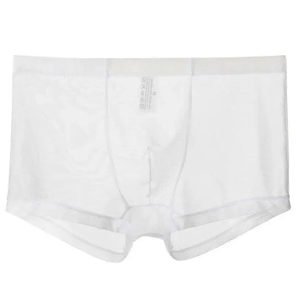 Men's Underwear Transparent Boxers Bulge Ice Silk See Through Underpants Sexy Briefs Low Waist Panties Lingerie Intimates