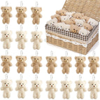 Brown Beige blush / China Mainland / 48PCS
