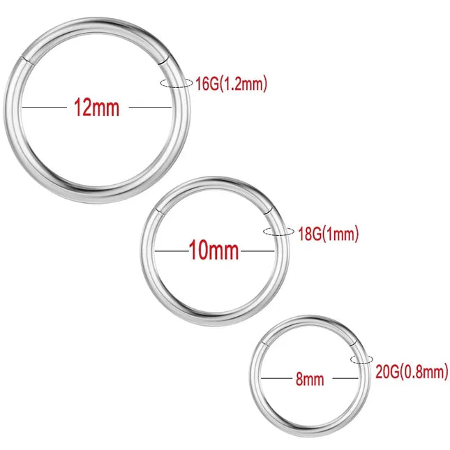 1/10PCS ASTM F136 Titanium Hinged Hoop Nose Rings 20G 18G 16G Septum Ring Wholesale Body Piercing Jewelry Cartilage Rook Earring