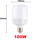 100W / White Light