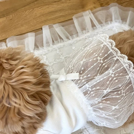 Lace Dog Skirts Pet Dresses Princess Dress Summer Fashion Dog Dresses Teddy Black Dog Vest Cat Dress Chihuahua Pet Clothing