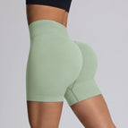 Palm Green / L