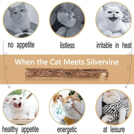 15pcs Natural Matatabi Cat Catnip Toy Kitten Molar Chew Stick Pet Cleaning Teeth Cat Treat Toy Actinidia Silvervine Pet Products