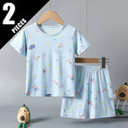 2pcs-httz-lanxiang / 150