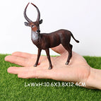 Waterbuck