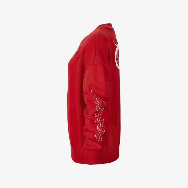 Nike Official Genuine Sportswear Boys' Breathable Soft Hoodie FZ6561-657